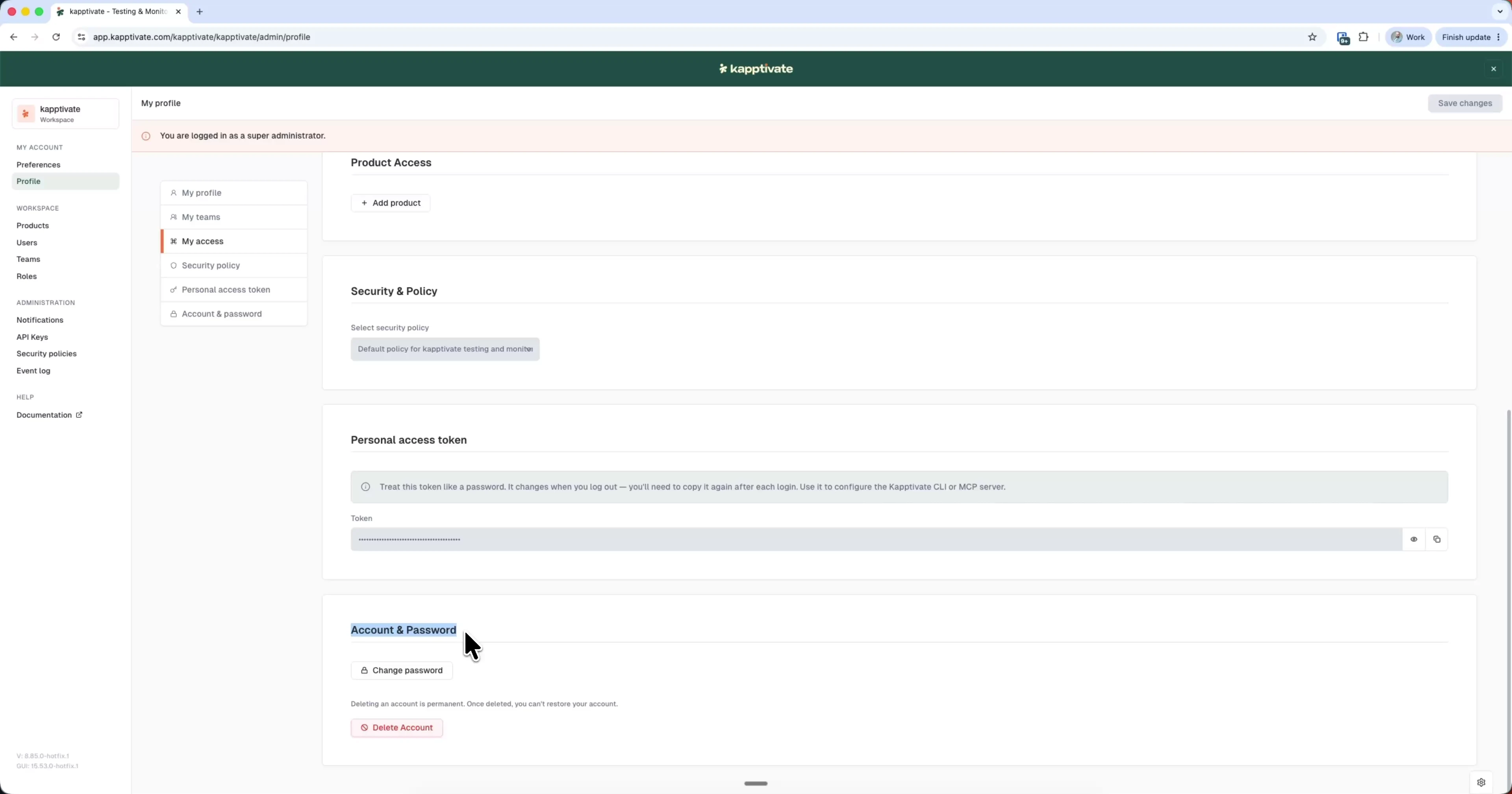 The Delete Account control in the Account & Password section, with a permanent-deletion warning